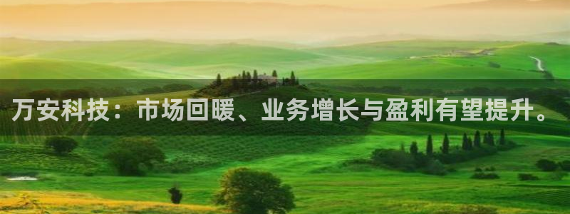 万安科技：市场回暖、业务增长与盈利有望提升。