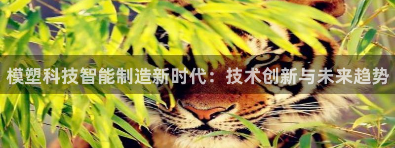 模塑科技智能制造新时代：技术创新与未来趋势
