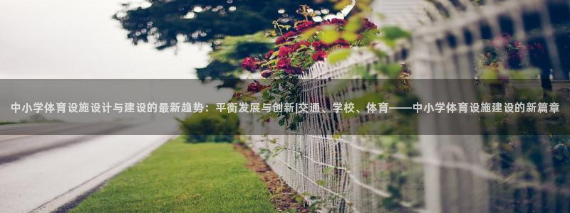 中小学体育设施设计与建设的最新趋势：平衡发展与创新|交通、学校、体育——中小学体育设施建设的新篇章